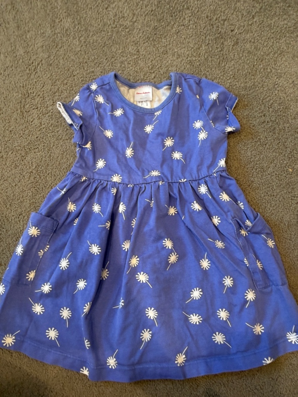 Hanna Andersson Blue Daisy Pocket Dress